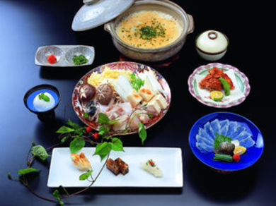 山茶花ーさざんかー