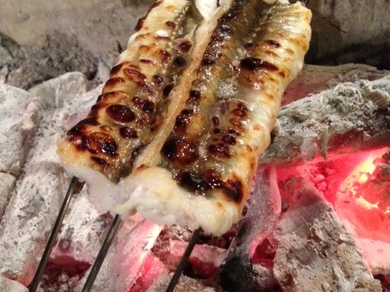 地穴子の白焼き