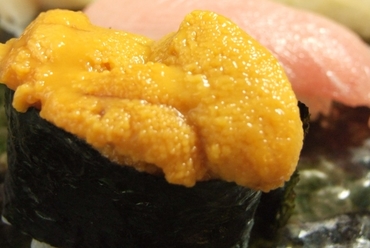 オススメ握り寿司