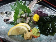 大箱に入った贅沢な刺身盛り合わせになります！