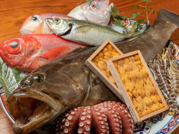 肴や左近 防府 海鮮料理 のおすすめ料理 メニュー ヒトサラ