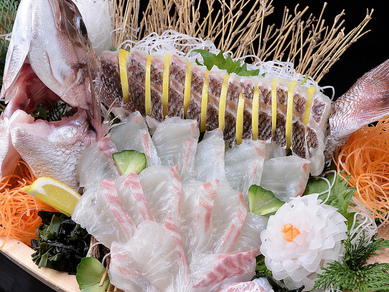 釣り体験|鯛