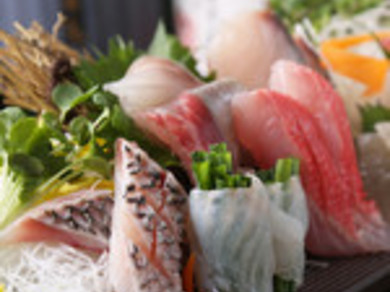 鮮魚のお造り五種盛り 一人前
