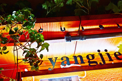 CHINA CUISINE yangjie