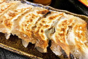 自家製 焼き餃子
