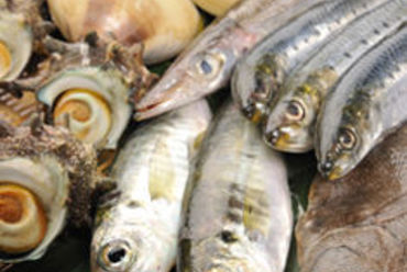 ☆ 九十九里自慢の海鮮料理 ☆