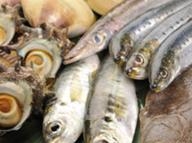 ☆ 九十九里自慢の海鮮料理 ☆