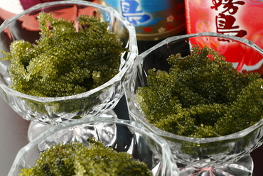 梅酒やカクテルなども豊富に揃っています