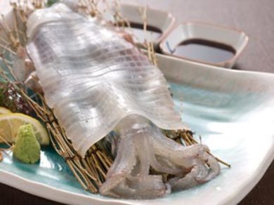 鐘崎産 活イカ