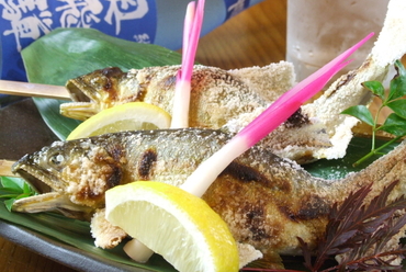 【郡上鮎】の塩焼き