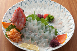 魚将さかなちゃん