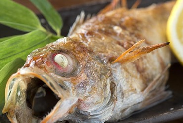 人気の高級魚をシンプルに塩焼で。『のどぐろ塩焼き 大』