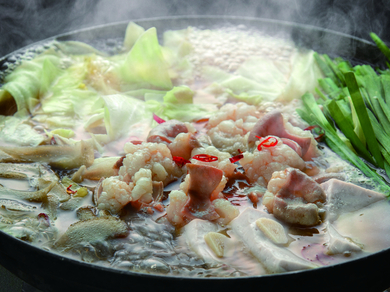 朝霧セット