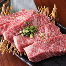 本家 Ponga