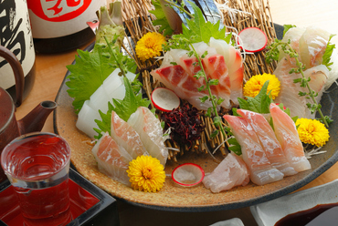 三浦半島から直送の新鮮魚介類 『刺身』や『煮・焼き』で。
