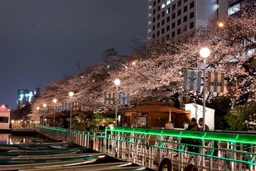 贅沢なお花見におすすめのカフェレストランです