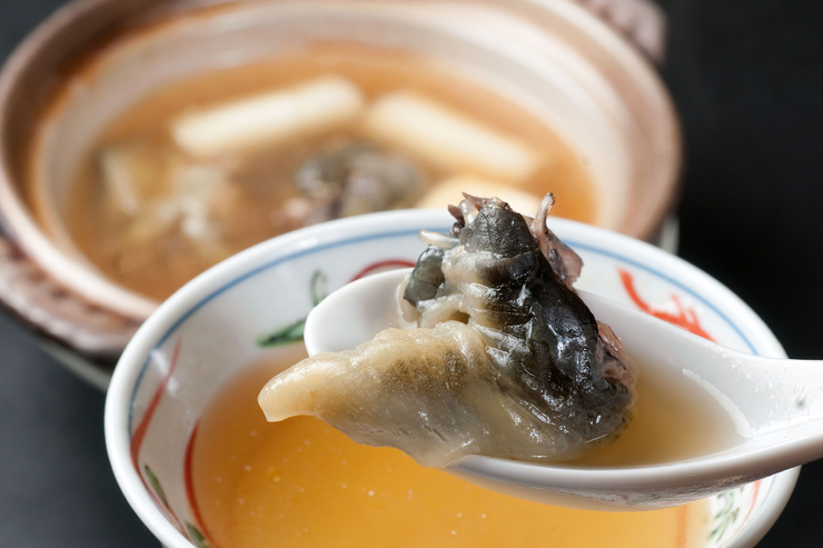 居酒屋割烹瓢亭maru 位於四條烏丸 烏丸御池 京都府savor Japan 品味日本