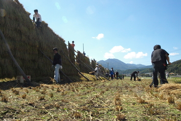島根県奥出雲町仁多米を使用