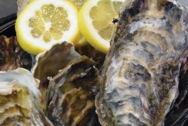 旨みが凝縮した蒸しガキ『カキ、ガンガン焼き(10個)』