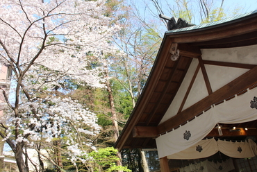 日本庭園の桜を眺めながら味わう、本格イタリアン