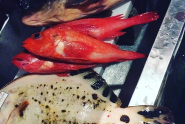 日本全国の生牡蠣食べ比べ