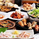 やどり木 鶏専門居酒屋