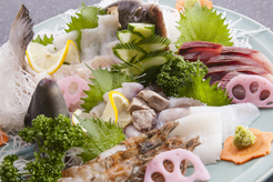 とっとり地魚菜や　酒楽