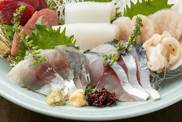 土佐エリアの漁港から直送で届く鮮魚を楽しめる『おまかせ五点盛』