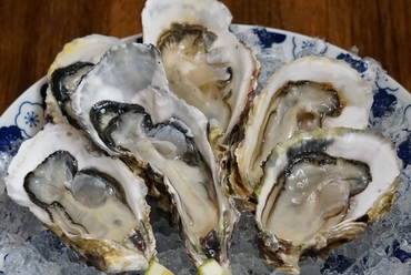 長崎県九十九島産 高島一年若牡蠣