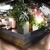 Dining kaze 池袋の風
