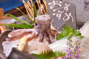 函館の居酒屋がおすすめのグルメ人気店 ヒトサラ