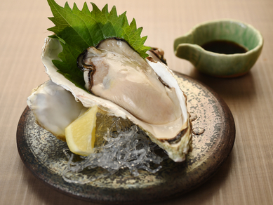 クリーミーで濃厚な味わい『仙鳳趾産の生カキ』