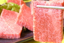 A5黒毛和牛×完全個室 龍乃華