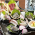 魚と酒 はなたれ横浜鶴屋町店