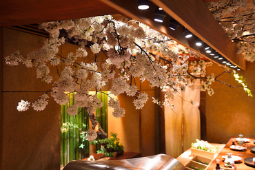 満開の桜を愛でながら、春の天ぷらをいただく大人の愉楽