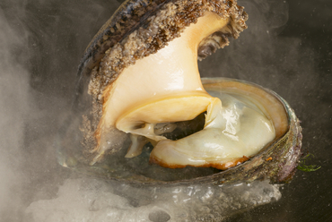 柔らかく、磯の風味漂う濃厚な味わい『活鮑』