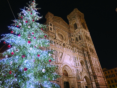 滋賀県のクリスマスディナーにおすすめのレストラン クリスマスディナー特集 ヒトサラ ヒトサラ