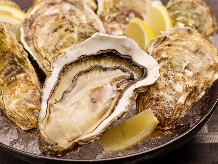 Oyster dining Selfish in Akita/Oga, Akita SAVOR JAPAN