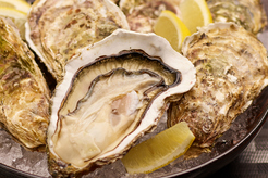 オイスターダイニング　せるふぃっしゅ