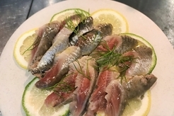 taverna　TAKEDA