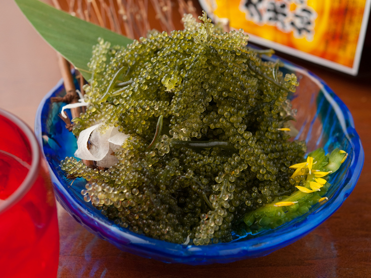 沖繩廚房paikaji 新宿新南口店 位於新宿南口 代代木 東京都savor Japan 品味日本