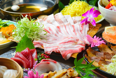 パネチキンならぬ【パネポーク】