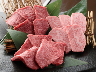 江坂 千里中央 豊中の焼肉おすすめグルメランキング トップ7 ヒトサラ