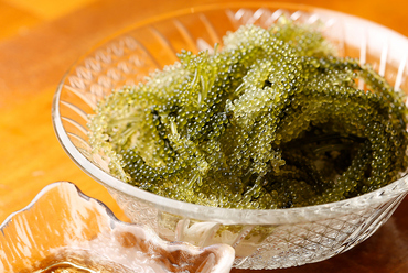 まずはこちら。沖縄名物の代表格『海ぶどう』