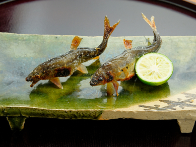 琵琶湖安曇川の新鮮な鮎を、いけすから水揚げ『活けあゆ塩焼き』 4月~11月頃のみ