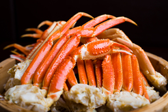 フォーリーフガーデン