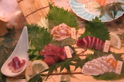 宮崎鶏　はねや