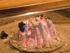 柳家料理店