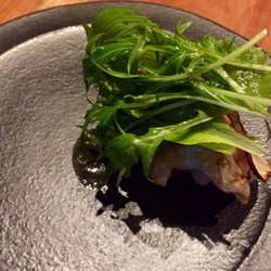アカ(aca 1°)