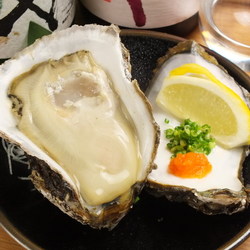 日本酒バル UMAMI